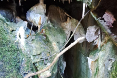 542760633_3391167501021238_498649672485542740_n