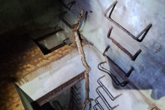 543424682_3391167924354529_6163608143365249365_n