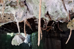 543495766_3391167757687879_7923399591279903268_n