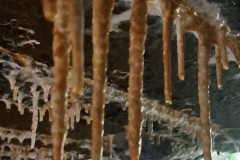 544890942_3391167474354574_4343990700363893093_n