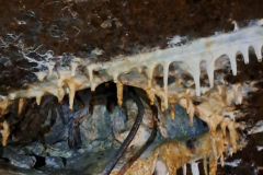 545140923_3391167624354559_943404033154918379_n