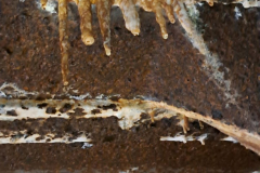 545369111_3391167614354560_2669963310576367635_n