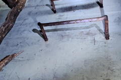 543101823_3391174437687211_3532659152498512482_n