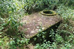 544575490_3391175077687147_5911950893332775506_n