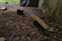 544776478_3391174911020497_282867088663089501_n