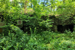 544836380_3391174984353823_4729628048165958828_n