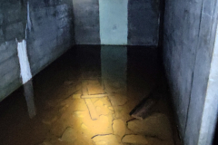 545378724_3391174787687176_8507264214959641928_n