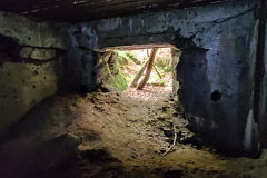 545413994_3391174871020501_1040203738272182459_n