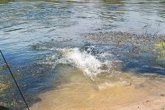 559138338_3427665544038100_1009449651978662727_n