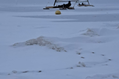 623169093_3548105348660785_7344150718451181207_n