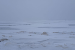 623932519_3548105558660764_7145857366082540576_n