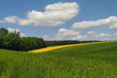 IMG-20220515-WA0048