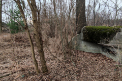 IMG_20220226_145532