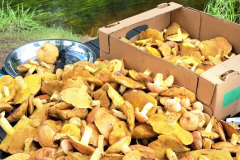 542758279_3391177774353544_6326812084780365009_n-1