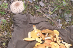 543513858_3391177947686860_8083900350897162426_n