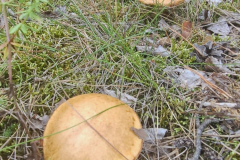 544845899_3391178351020153_5491235618930155111_n