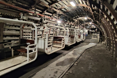 627822544_3559296020875051_353625653419354796_n