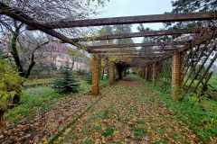 621793257_3548133851991268_5002643118050684291_n