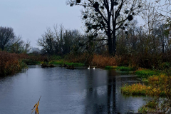 622939459_3548133805324606_8744522941704417812_n