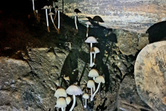 559892904_3440867762717878_3935041584690021642_n