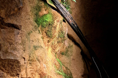 566242219_3440867409384580_4253074190191893176_n