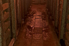 569373930_3440868889384432_7483957397503958181_n