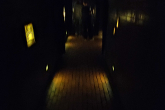 472571933_3127690384035619_1933332567691070226_n