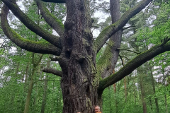 566221067_3443243719146949_3568111022446554526_n