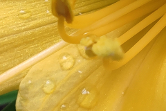 567706997_3443243475813640_5698705030663185171_n