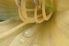 568823312_3443243509146970_9064612059327502674_n