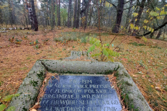 620074525_3548135698657750_2034583870684296028_n