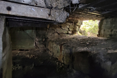 514359484_3391157857688869_263749484332937271_n