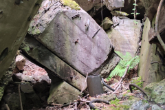 544538044_3391157944355527_4954098937343684570_n