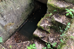 544904065_3391157964355525_8157074498232143851_n