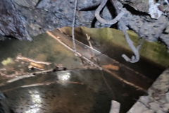 545398793_3391157814355540_2021882290750071176_n