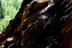 2007_05210015