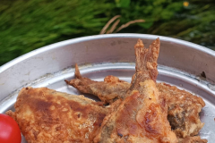 544968472_3391178314353490_2988905339987120937_n