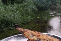 545573381_3391178357686819_4709293809239173276_n