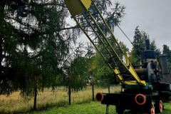 565122791_3440837376054250_5943475852499703442_n