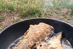 544799038_3391178191020169_4891684230985204892_n