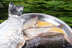 544828061_3391178017686853_198575186141699940_n