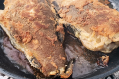 545532905_3391178007686854_8469310149850436710_n