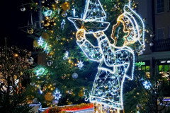 615411122_3535115283293125_243057477266751211_n