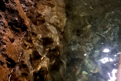 565628773_3440833949387926_3180809309428200226_n