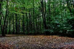 566342510_3440833866054601_5904948924426653679_n