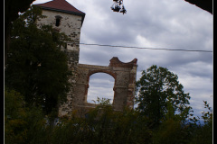 SONY DSC