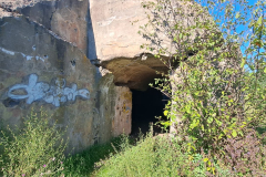 550581883_3406883329449655_6188797735757886556_n