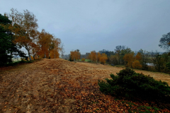 619993557_3548135545324432_5111613754678369039_n