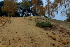 622137429_3548135541991099_4954905201251909681_n