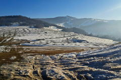 620060414_3548105435327443_2002251313170065659_n